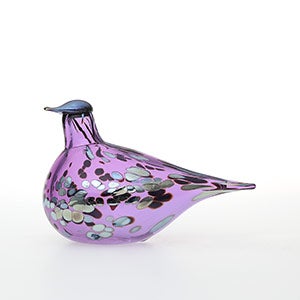 Birds Amethyst bird 0649