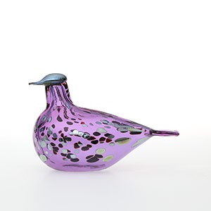 Birds Amethyst bird 0651