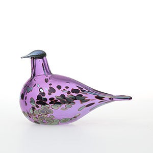Birds Amethyst bird 0654