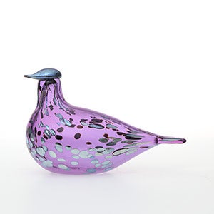 Birds Amethyst bird 0655