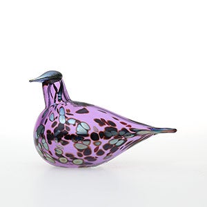 Birds Amethyst bird 0657