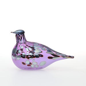 Birds Amethyst bird 0659