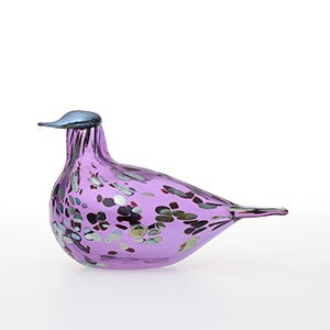 Birds Amethyst bird 0662