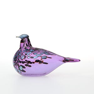 Birds Amethyst bird 0663