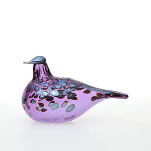 Birds Amethyst bird 0665
