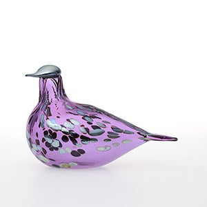Birds Amethyst bird 0666