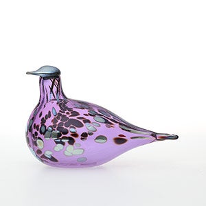 Birds Amethyst bird 0668