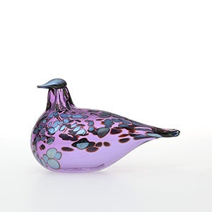 Birds Amethyst bird 0669