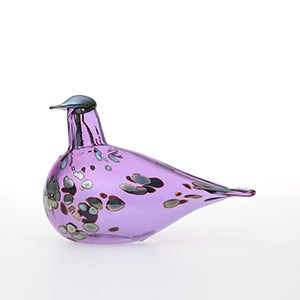 Birds Amethyst bird 0671