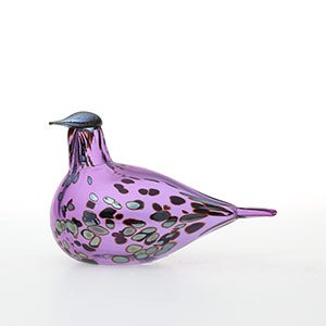 Birds Amethyst bird 0672