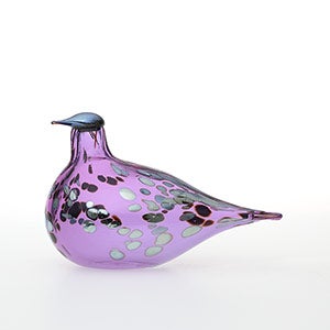 Birds Amethyst bird 0675