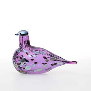 Birds Amethyst bird 0678