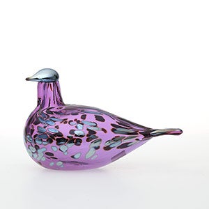 Birds Amethyst bird 0679