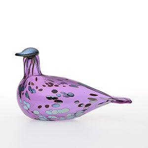 Birds Amethyst bird 0681