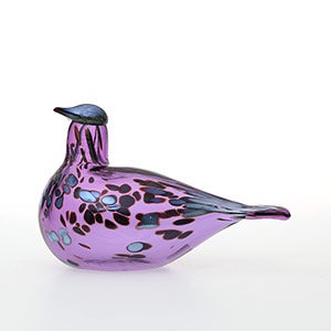Birds Amethyst bird 0682