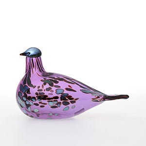 Birds Amethyst bird 0684