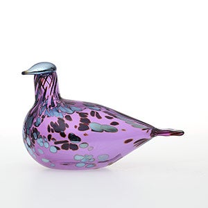 Birds Amethyst bird 0685