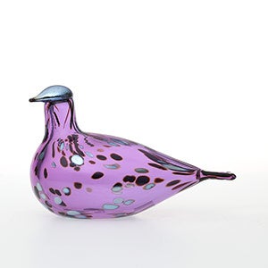 Birds Amethyst bird 0686