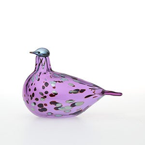Birds Amethyst bird 0687