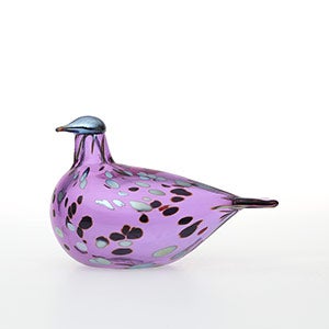 Birds Amethyst bird 0688