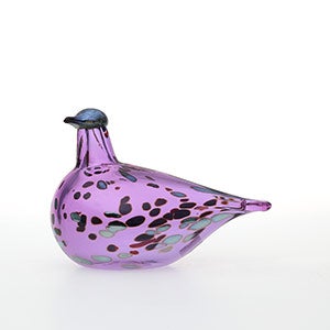 Birds Amethyst bird 0689