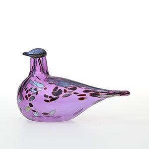 Birds Amethyst bird 0693