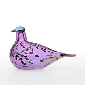 Birds Amethyst bird 0695