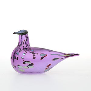 Birds Amethyst bird 0698