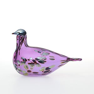 Birds Amethyst bird 0779