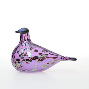 Birds Amethyst bird 0780