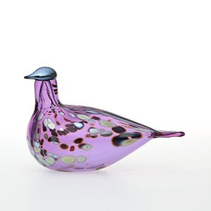 Birds Amethyst bird 0782