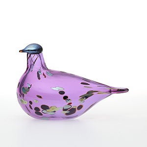Birds Amethyst bird 0783