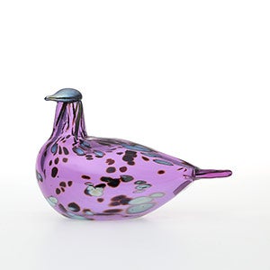 Birds Amethyst bird 0784