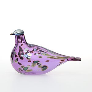 Birds Amethyst bird 0785