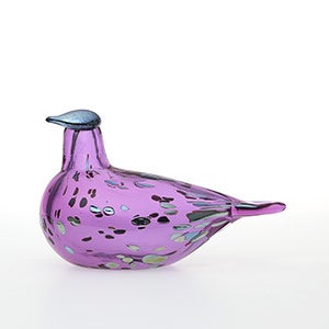 Birds Amethyst bird 0786