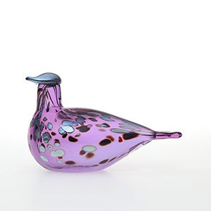 Birds Amethyst bird 0788