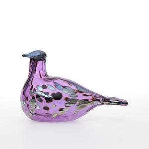 Birds Amethyst bird 0789