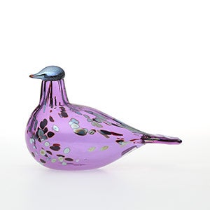 Birds Amethyst bird 0790