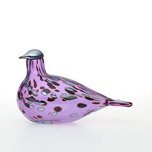 Birds Amethyst bird 0792