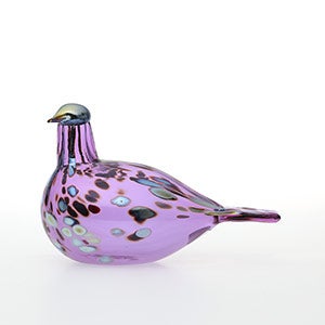 Birds Amethyst bird 0795