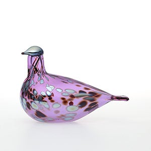 Birds Amethyst bird 0796