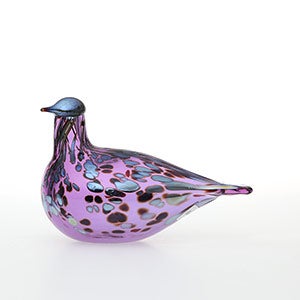 Birds Amethyst bird 0797