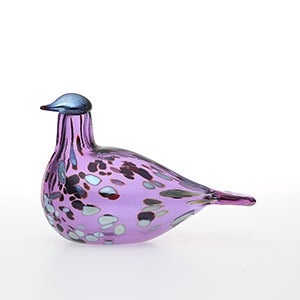 Birds Amethyst bird 0798