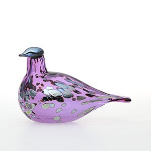 Birds Amethyst bird 0800