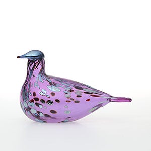 Birds Amethyst bird 0803