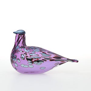 Birds Amethyst bird 0807