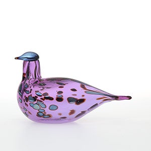 Birds Amethyst bird 0808