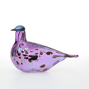 Birds Amethyst bird 0811