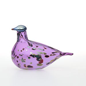 Birds Amethyst bird 0812