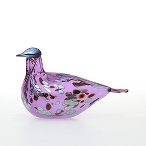 Birds Amethyst bird 0813